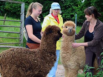 Auf der Orenda-Ranch freuten sich die Alpakas über Besuch. Rechts die Chefin Birgit Appel-Wimschneider. Foto: Dieter Britz