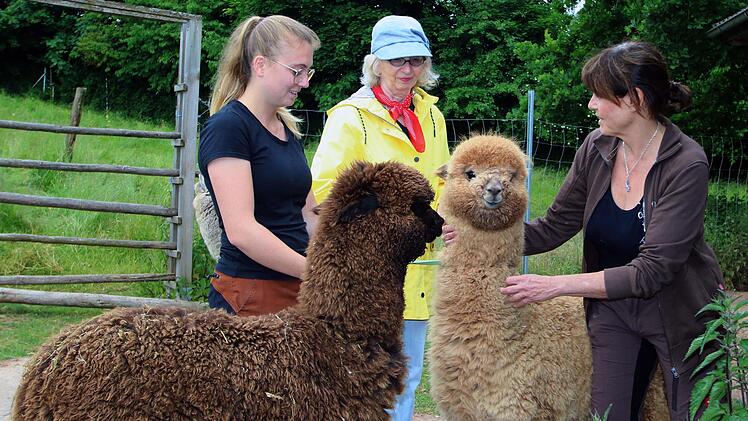 Auf der Orenda-Ranch freuten sich die Alpakas über Besuch. Rechts die Chefin Birgit Appel-Wimschneider. Foto: Dieter Britz