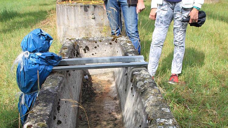 Dieser Brunnen aus den 1970er Jahren soll ersetzt werden, weil er nicht mehr der Zeit entspricht. Wegen der eigenartigen Ausformung wird er vom Volksmund auch Busenbrunnen genannt.  Foto: Matthias Einwag
