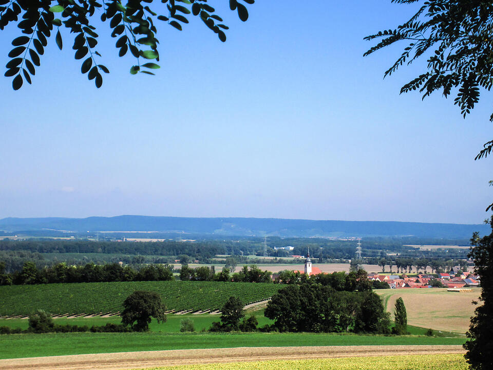 Fotos Konrad Thomann