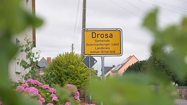 Kind stirbt nach Hundeangriff