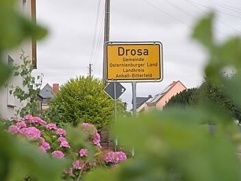 Kind stirbt nach Hundeangriff