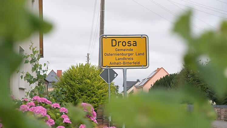 Kind stirbt nach Hundeangriff