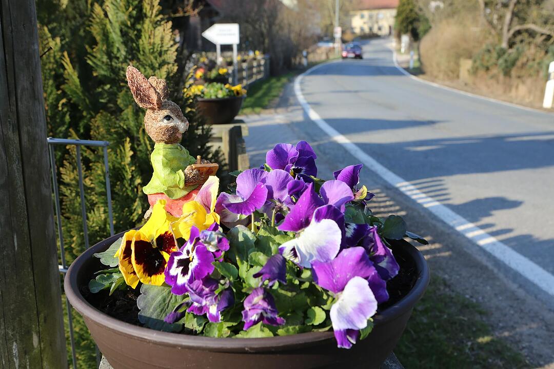 SoS Oberfellendorf im Lkr. Forchheim; Foto: Barbara Herbst