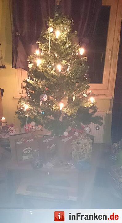 Weihnachten in Franken: Die Christbäume unserer Leser