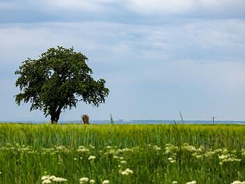 Kommen die Eisheiligen doch noch? Experte mit Ungemütlich Prognose fürs Wochenende Kommen die Eisheiligen doch noch? Experte mit Ungemütlich Prognose fürs Wochenende