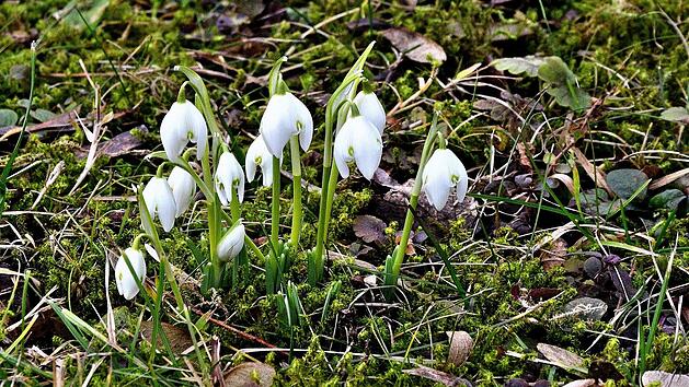 Franken-Wetter: "Winter zu Ende" - fr&uuml;hlingshafter Wochenausblick