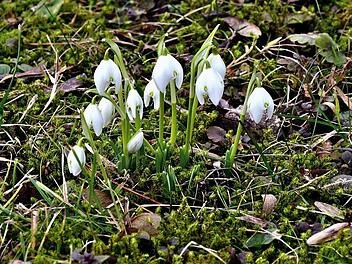 Franken-Wetter: "Winter zu Ende" - fr&uuml;hlingshafter Wochenausblick