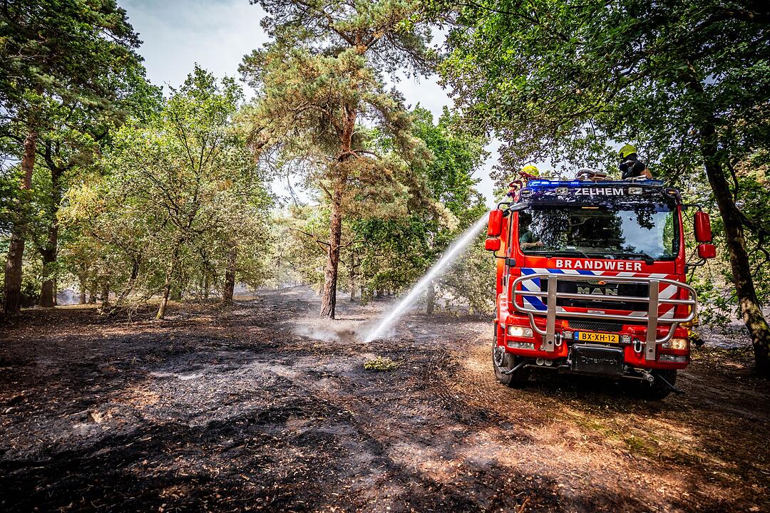 Waldbr&auml;nde in den Niederlanden