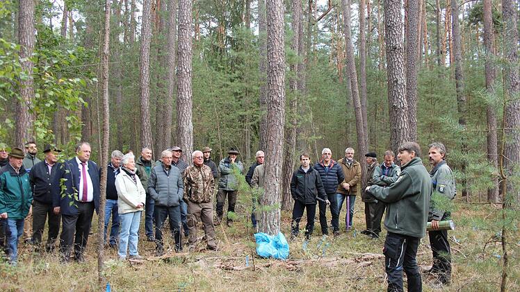 Interessiert lauschen die Waldbesitzer den Ausführungen von Försterin Heike Grumann. Mit blauen Fähnchen markiert sind kleine Eichen, die nur wachsen können, weil der Waldbesitzer für genug Licht sorgte. Fotos: Karina Brock