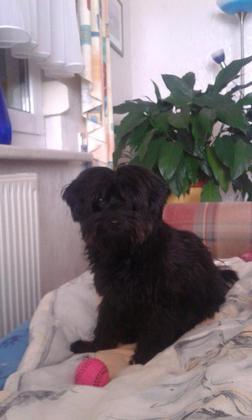 Foto: Tobi Kaup
