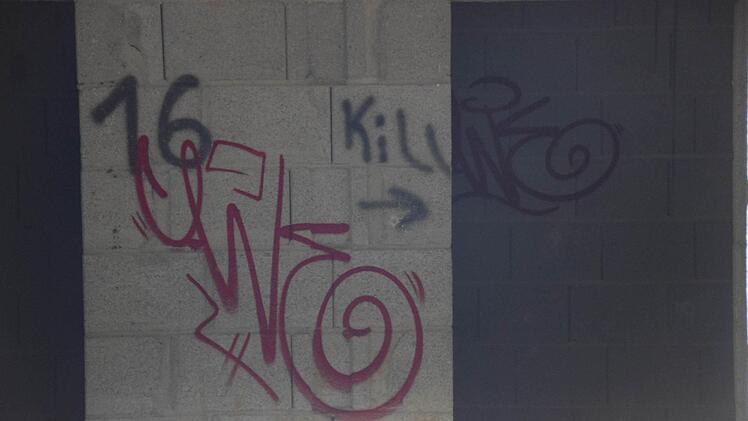 Das ehemalige Häuserkampf-Gebiet bei Bamberg. Fotos: Ronald Rinklef