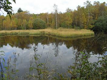 Blick auf den See am Roten Moor.  Fotos: Joachim Rübel