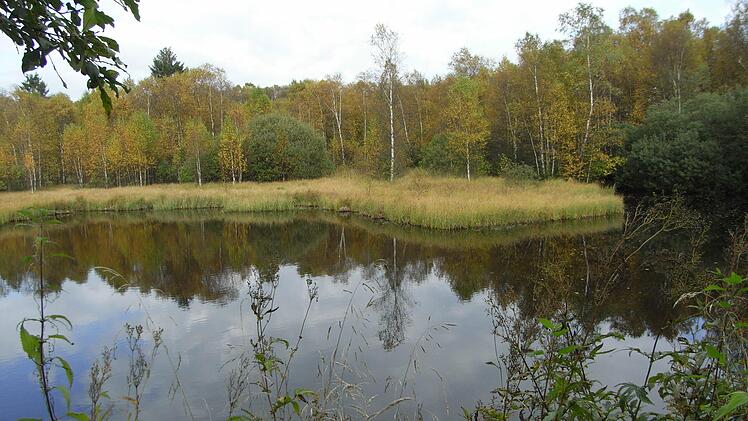 Blick auf den See am Roten Moor.  Fotos: Joachim Rübel