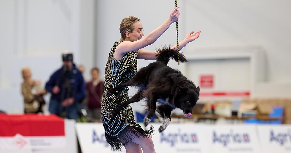 Wenn-Hunde-tanzen-Meisterschaft-in-Dog-Dancing-gestartet