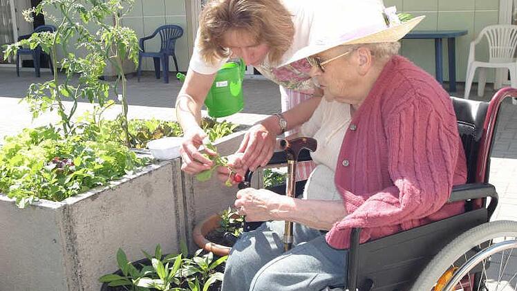 Gartentherapie 2005