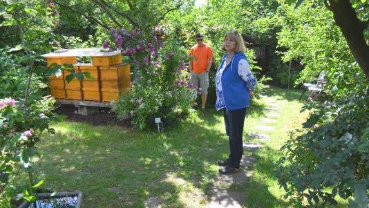 Hinter den Obstbäumen und Blühpflanzen stehen die Bienenkästen.