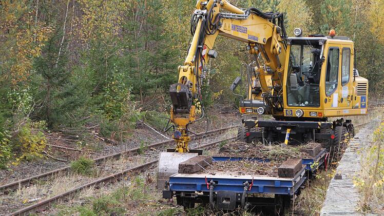 Ein Bagger auf Schienen erledigt die Arbeiten auf der Strecke. Foto: Ulrike Müller