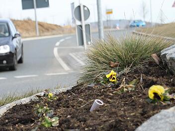 Die Blumen am Staffelsteiner Bahnhofs-Kreisverkehr müssen in den kommenden Tagen entfernt, die Erde aufgelockert und neue Pflanzen gesät werden.  Foto: Sarah Stieranka