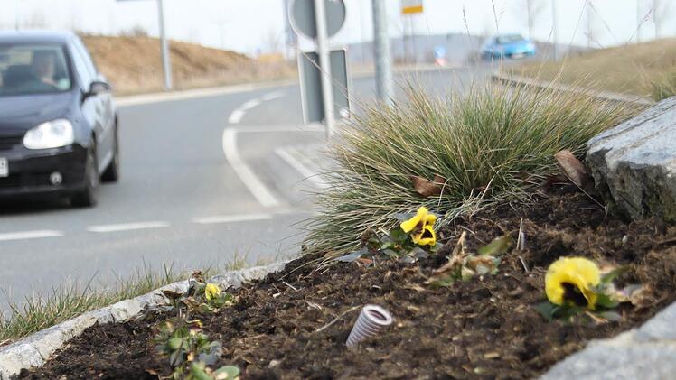 Die Blumen am Staffelsteiner Bahnhofs-Kreisverkehr müssen in den kommenden Tagen entfernt, die Erde aufgelockert und neue Pflanzen gesät werden.  Foto: Sarah Stieranka
