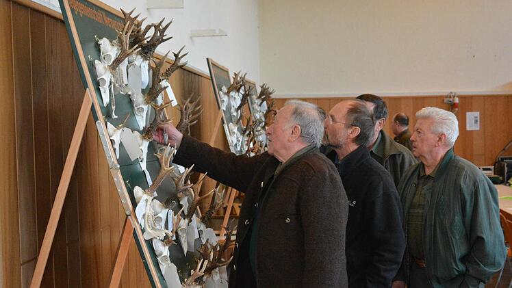 Auf der öffentlichen Hegeschau in Maßbach wurden die Trophäen der Hegegemeinschaft gezeigt. Foto: Björn Hein
