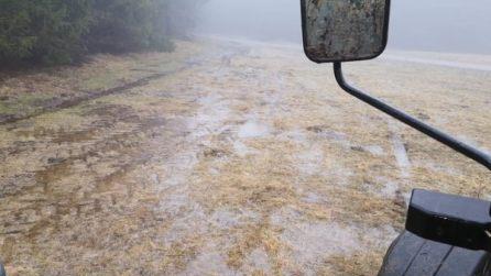 Die Wiesen auf dem Feuerberg stehen voller Wasser. Foto: Michael Voll