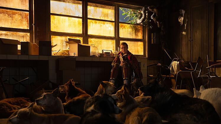 Doug (Caleb Landry Jones) ist der DogMan: In einer verlassenen Schule lebt er mit unz&auml;hligen Hunden.