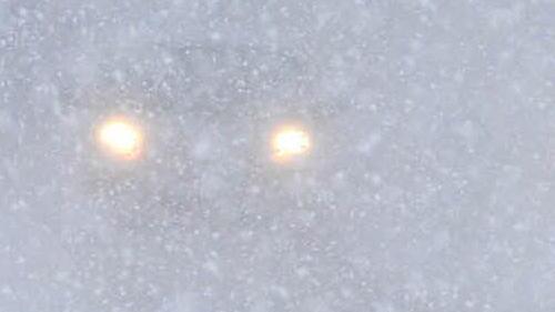 Laufen oder Autofahren - das ist hier die Frage?