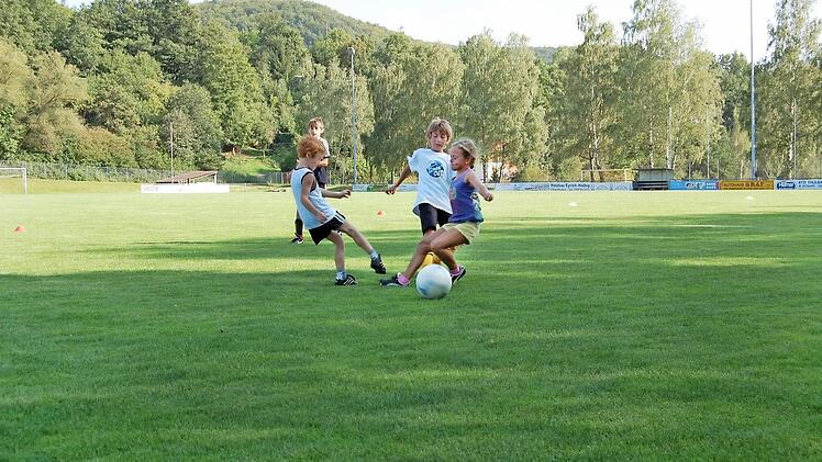 Der Einbau einer Zisterne für die Bewässerung des Sportplatzes in Thulba wurde aufgeschoben.  Foto: Straub