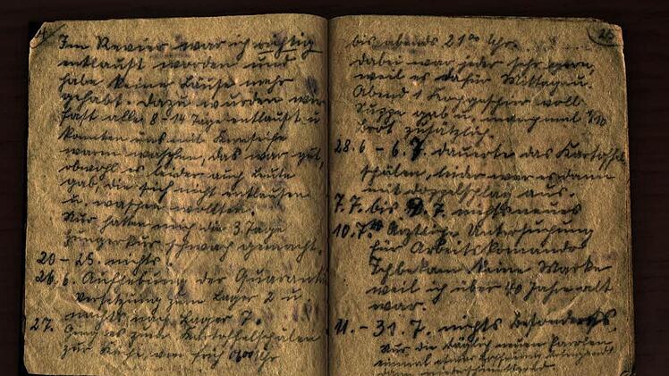 Das Tagebuch von Martin Welz
