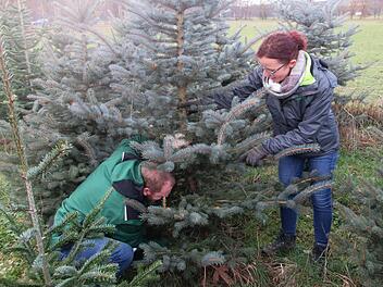 Christian Reusch und Nadja Schneider von der Regionalmarke Rhön schlagen einen Bio-Weihnachtsbaum.  Foto: Winfried Ehling