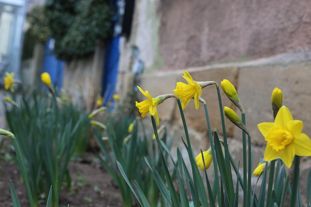 Pautzfeld; Gemeindeseite; Landkreis Forchheim; Foto: Barbara Herbst