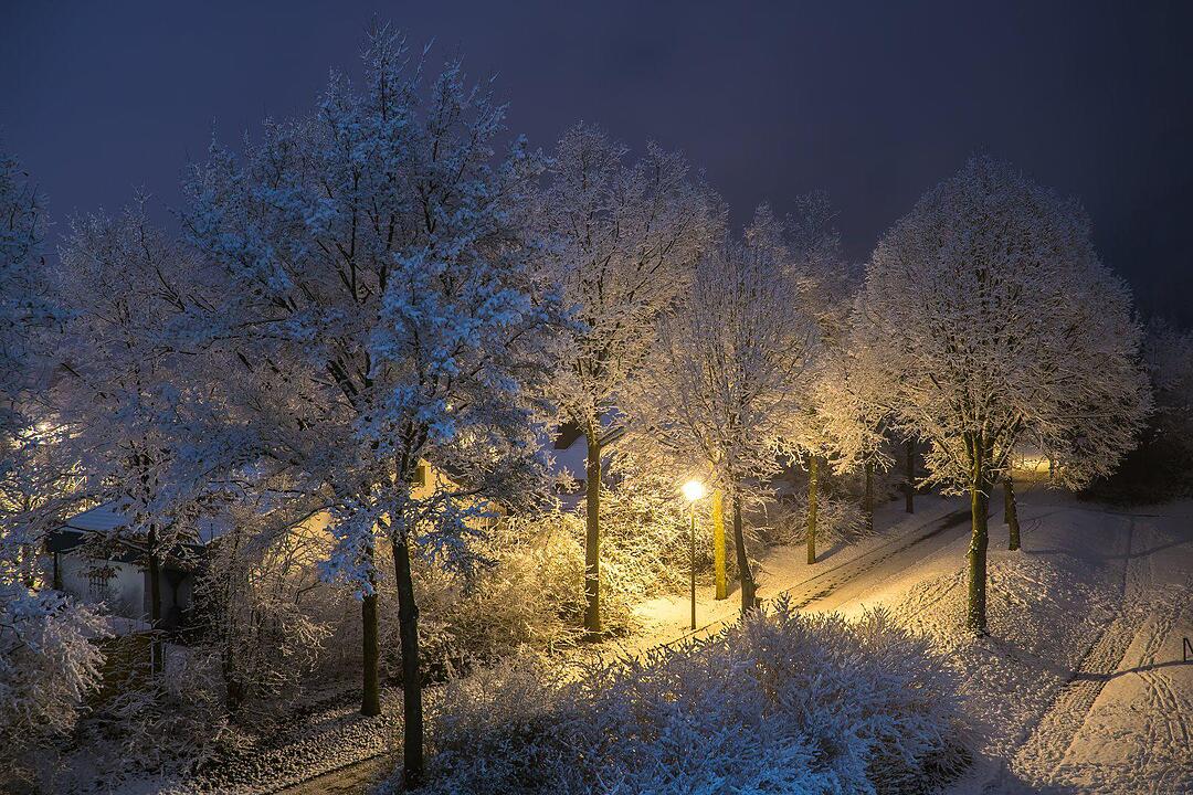 Schnee und Eis - Die schönsten Aufnahmen aus Franken