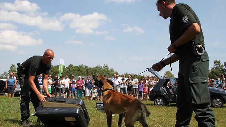 Der Zoll aus Frankfurt zeigt, wie extra dafür ausgebildete Hunde nach Drogen suchen.