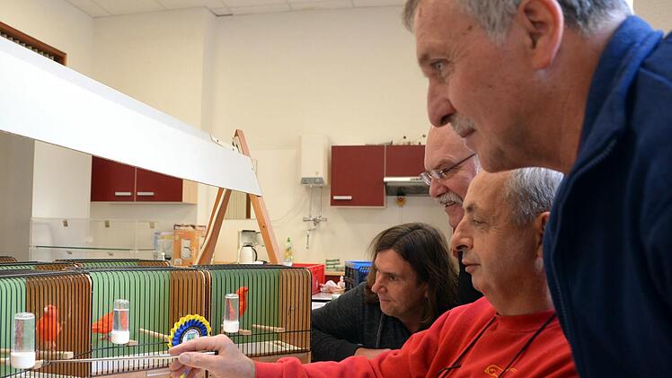 Mehrere Preisrichter ermittelten die schönsten Tiere und somit die Vereinsmeister der Vogelfreunde Bad Kissingen e.V. Auf unserem Foto v.li.: Preisrichter Uwe Hyronimus (Nürnberg), Roland Hehn (1. Vors.), Preisrichter Waldemar Detzel (Neustadt/Aisch) sowie der 2. Vorsitzende der Vogelfreunde Bad Kissingen Bruno Kirchner. Foto: Peter Rauch