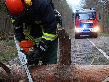 Lediglich ein paar umgestürzte Bäume und abgebrochene Äste mussten nach Orkan Xaver von Straßen im Landkreis Kulmbach geräumt werden. Sonst gab es keine Schäden. Symbolbild: dpa