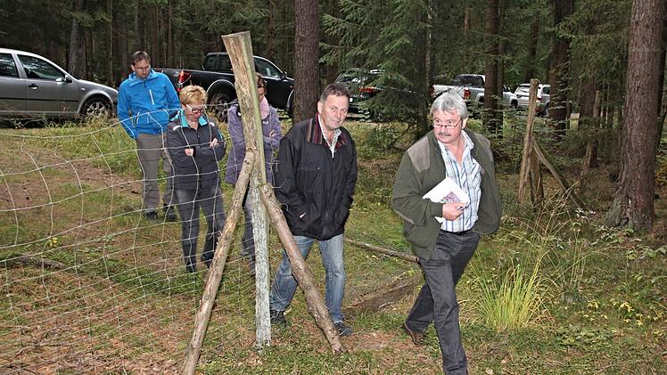 Rehe sieht man nicht gerne "Zäune überschreiten." Die Gemeinderätinnen und Räte, angeführt von Kämmerer Arno Welz und mit Bürgermeister Wolfram Thein am Ende, durften das, um sich in einer Umzäunung von den Forstbeamten informieren zu lassen. Foto: Helmut Will