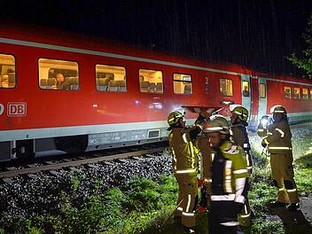Regionalzug rammt umgest&uuml;rzten Baum