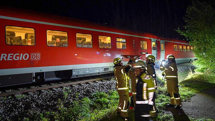 Regionalzug rammt umgest&uuml;rzten Baum