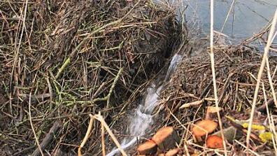 Eine geöffnete Stauung im Seegraben bei Großwenkheim.