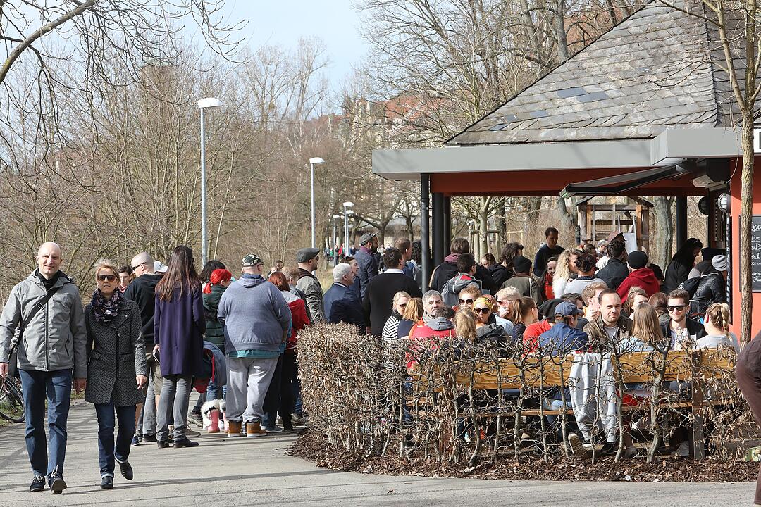 Frühling in Franken: Das Leben erwacht