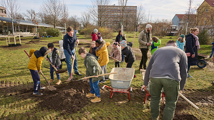 Bamberg: Klimabaum-Park Am Heidelsteig wird in K&uuml;rze er&ouml;ffnet - Sch&uuml;ler gestalteten die Info-Tafeln