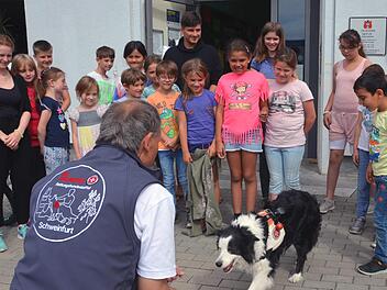 Petty, der Border Collie von Andreas Ebeling ist mit seinen 15 Jahren eigentlich schon Rentner, aber immer noch ein guter Maintrailer und wird gerne vorgeführt. Hier bei Ferienprogramm der Stadt Bad Kissingen im JuKuZ. Foto: Peter Rauch