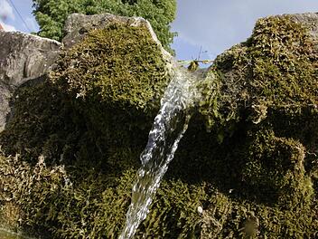 Foto: Josef Hofbauer