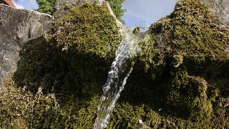 Foto: Josef Hofbauer