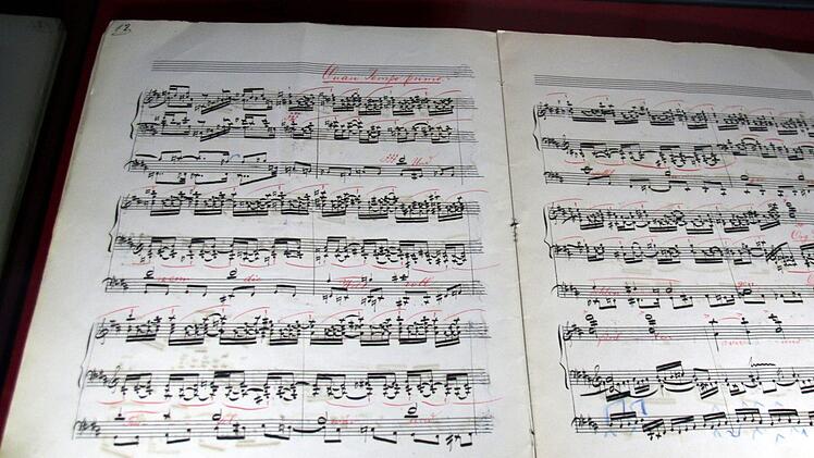 Die gezeigte "Phantasie für Orgel über den Choral Ein' feste Burg ist unser Gott" von Max Reger aus dem Jahr 1898 gilt als Durchbruch des Komponisten. Sie kann in der Ausstellung auch angehört werden. Foto: Bettina Knauth