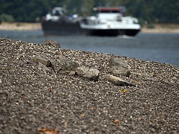 Niedrigwasser im Rhein