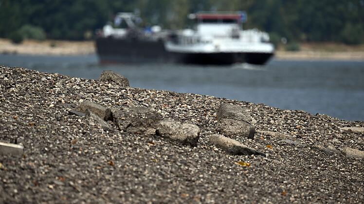 Niedrigwasser im Rhein