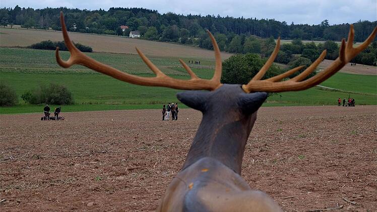 Die Abschusszahlen für Rotwild im Nordrevier Oberthulba sind nach oben gegangen.  Foto: Gerd Schaar