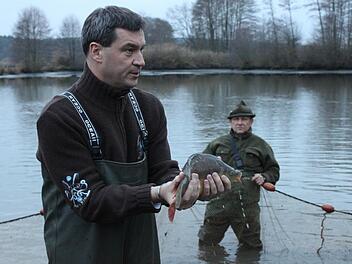 Für den Karpfen setzt sich Markus Söder besonders ein. Foto: Josef Hofbauer